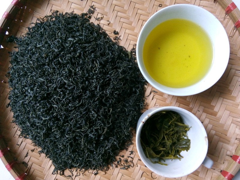 Thử chè sạch Thái Nguyên