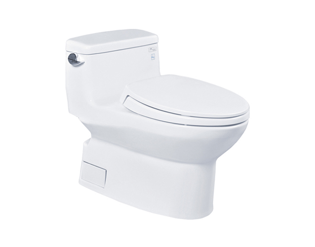 bon cau toto ms884t2