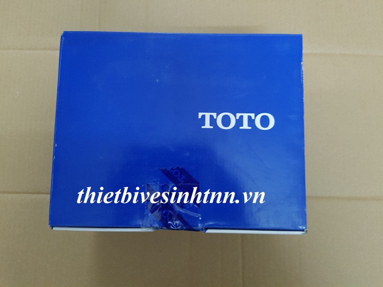 sen-tam-nong-lanh-toto-dm328