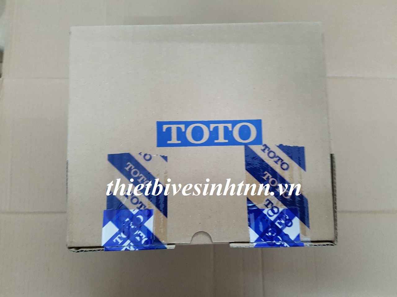 sen-tam-nong-lanh-toto-ts366a