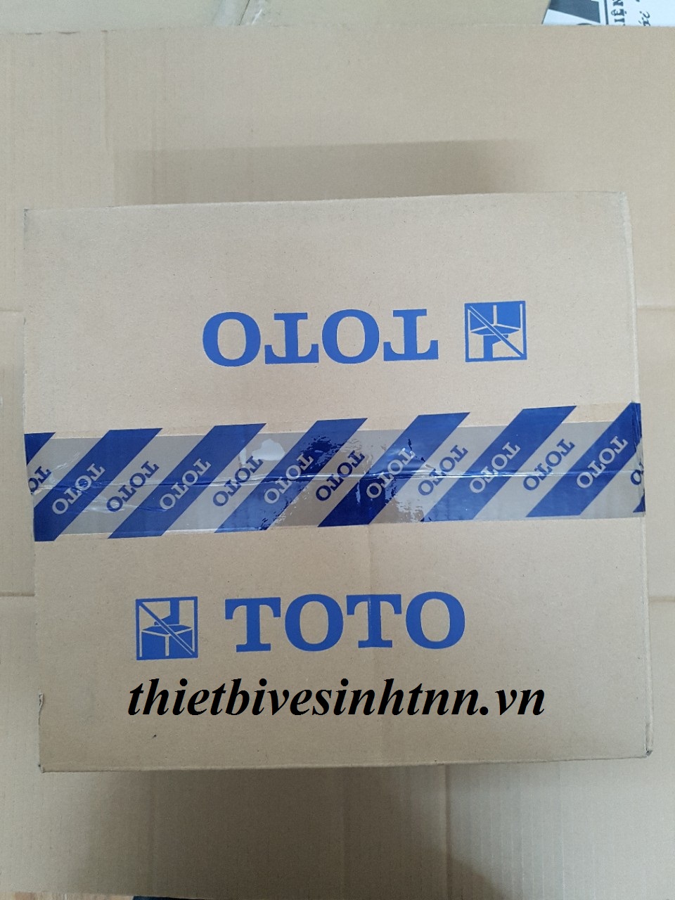 may-say-tay-toto-TYC322WF