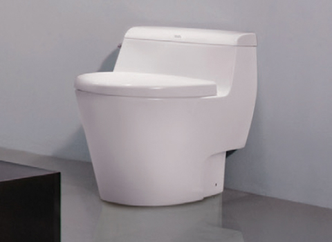 ban-cau-1-khoi-american-standard-2040-WT