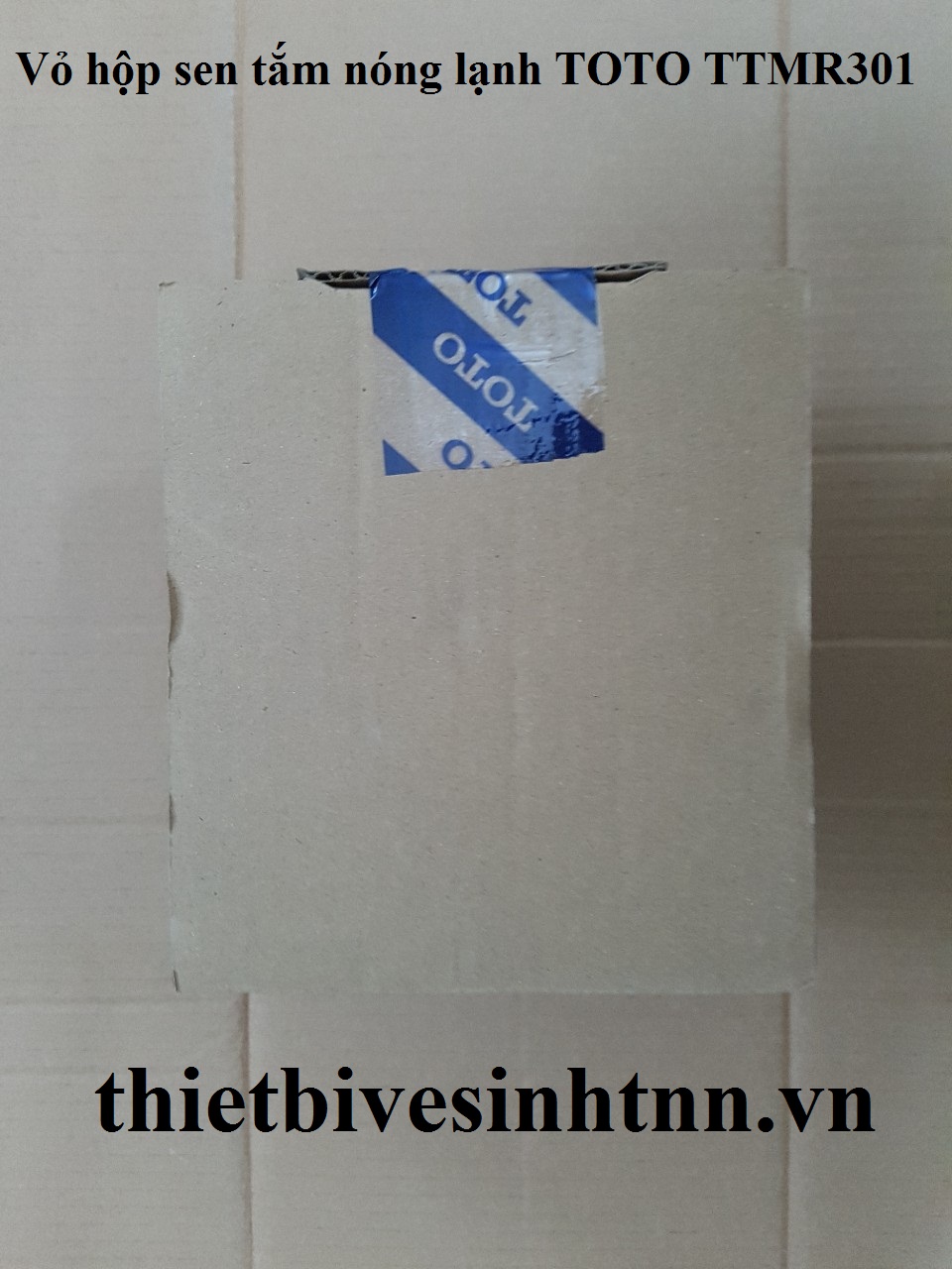 sen-tam-nong-lanh-toto-TTMR301