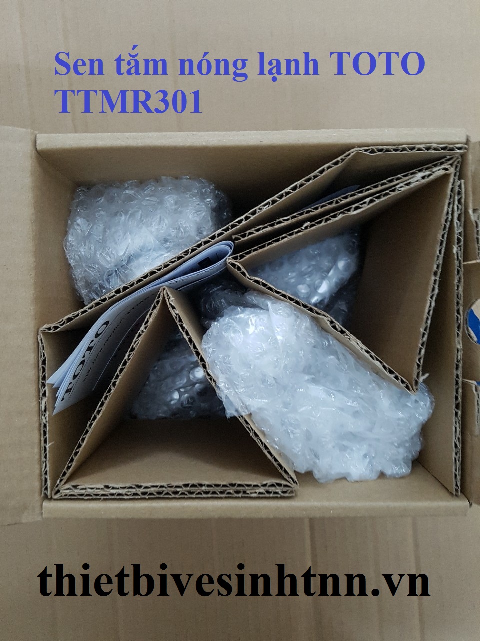 sen-tam-nong-lanh-toto-TTMR301