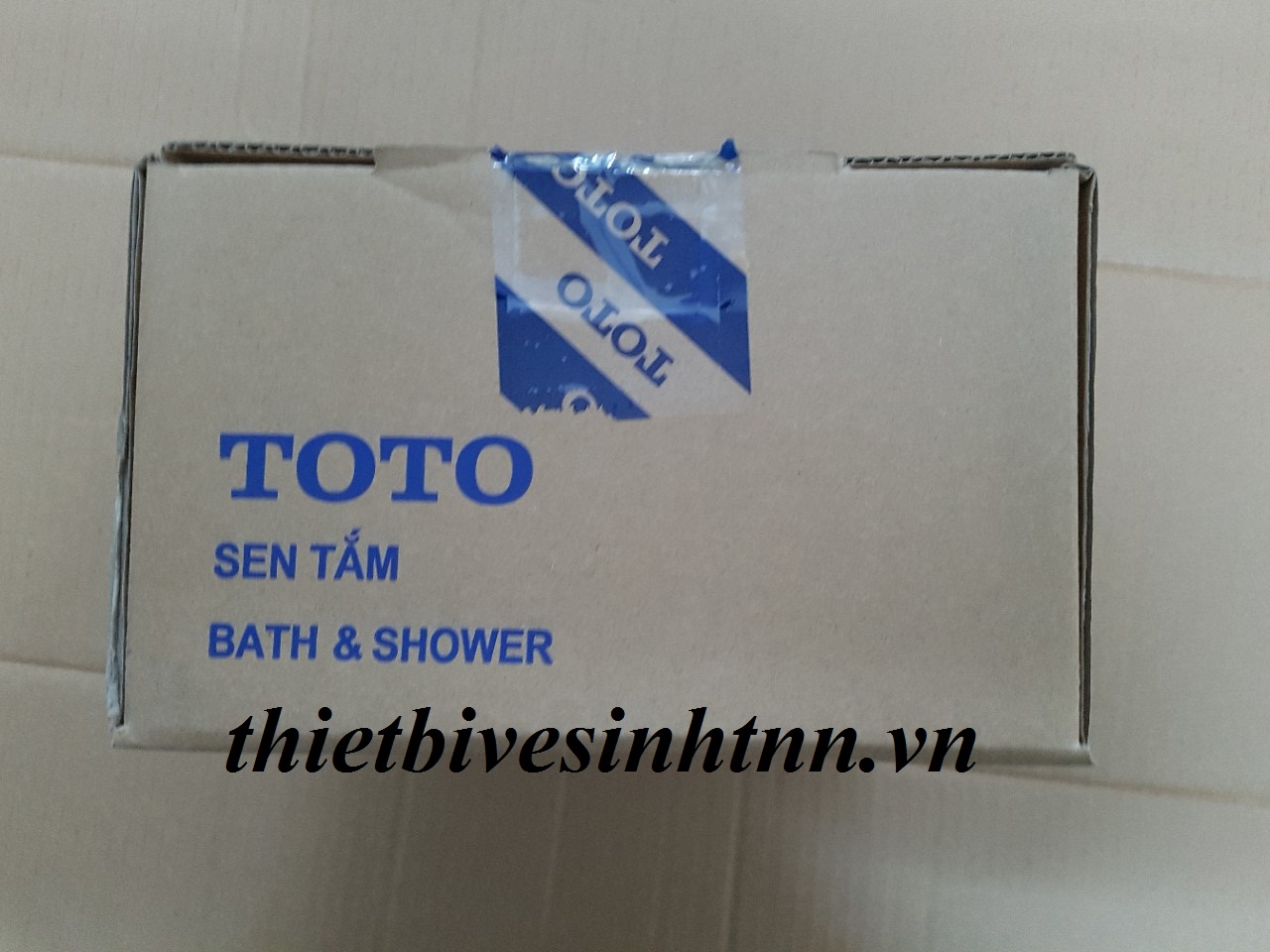 sen-tam-nong-lanh-toto-TVSM107CR