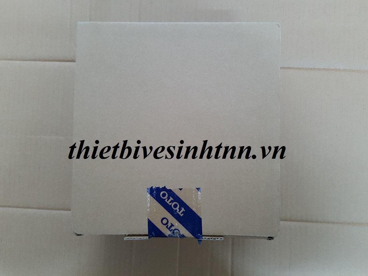 sen-tam-nong-lanh-toto-TVSM107CR
