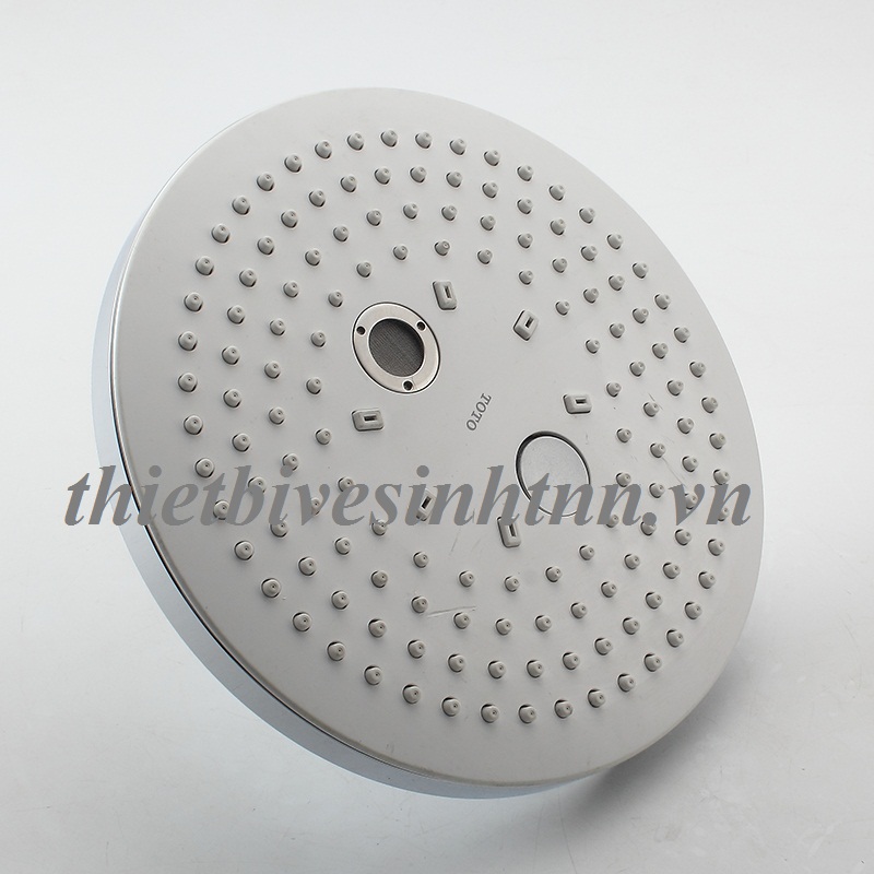 than-sen-cay-toto-TBW01002B