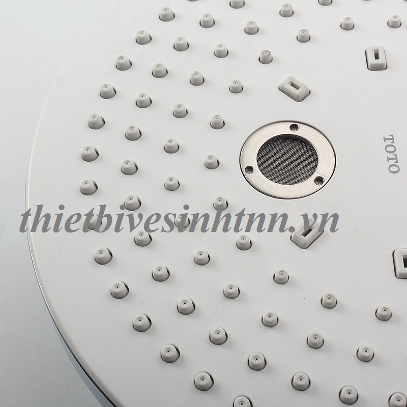 than-sen-cay-toto-TBW01002B