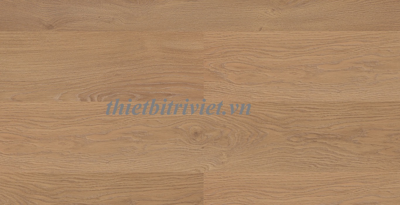 san-go-dongwha-4662-P-EIR-Real-Vanished-Oak