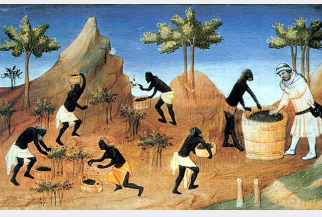 referred to as "black gold" and used as a form of commodity money